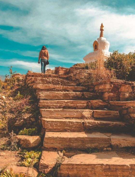 prateek-katyal-T2MWysMOmuk-unsplash